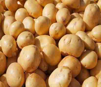 Potato ( आलू ) 1kg