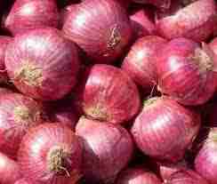 Onion (प्याज) 1KG