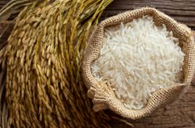 Rice or Chawal