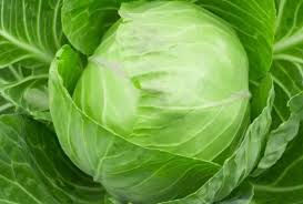 Cabbage (पता गोभी) 1KG image
