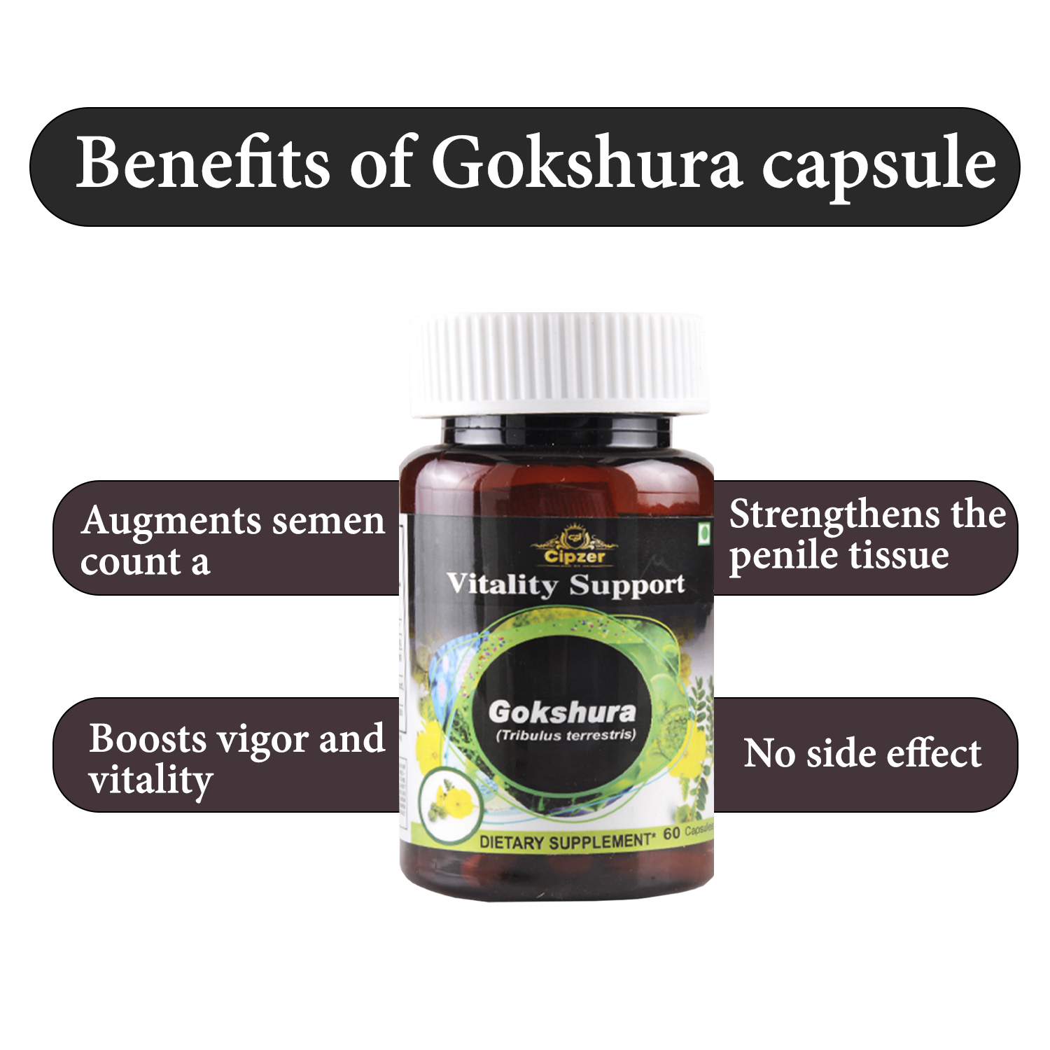 Cipzer Gokshura Capsule |  May strengthen the penile tissue & augment semen count and libido-60 Capsules image