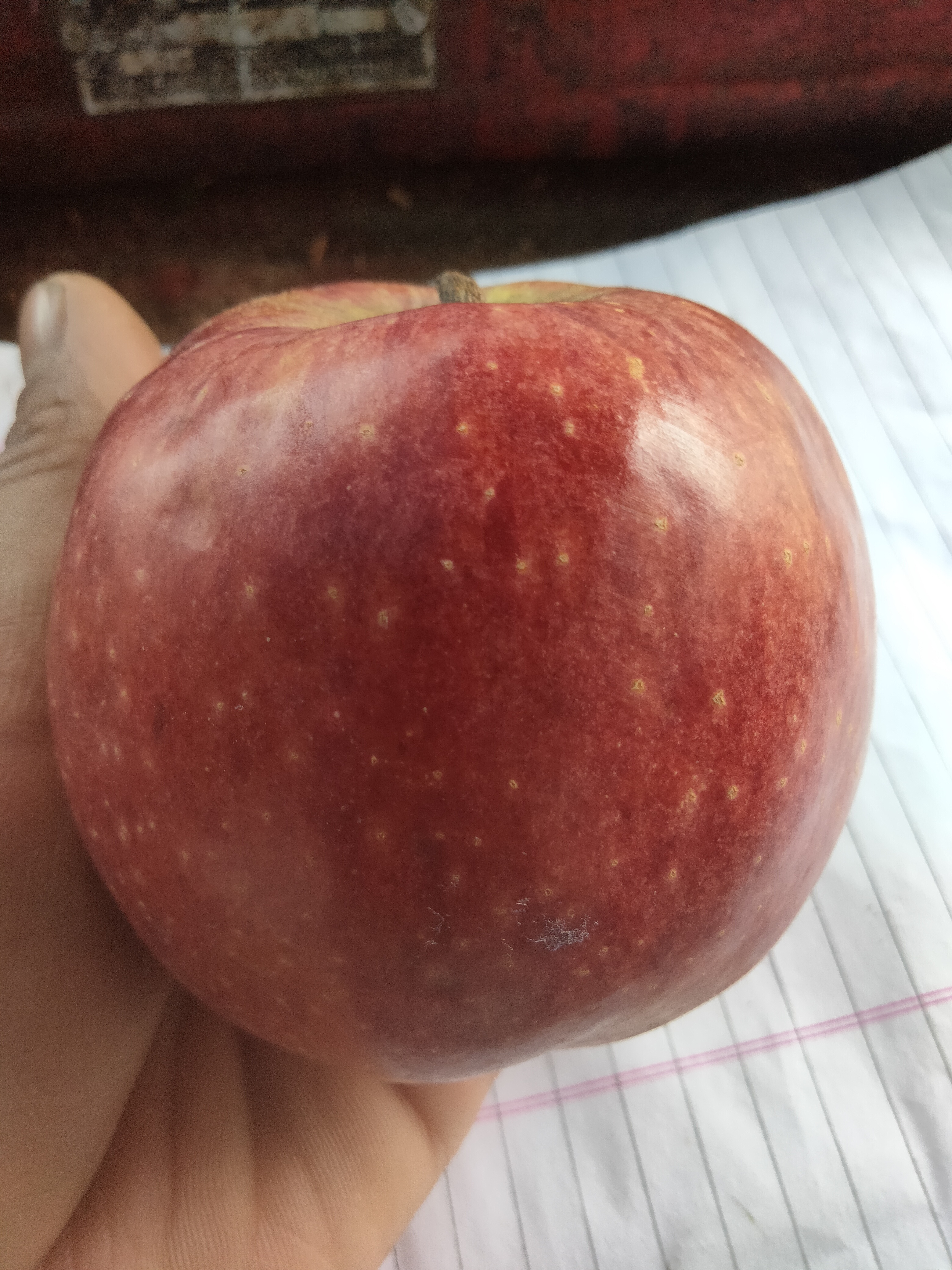 Apple kashmiri  image