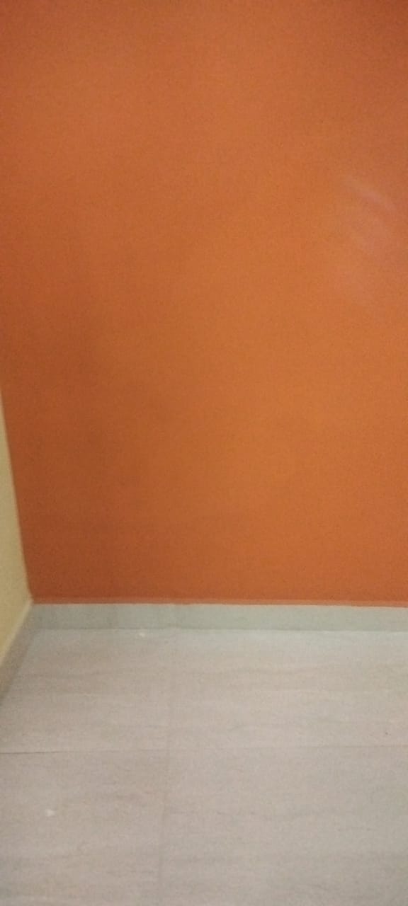 Home painting services provider  image