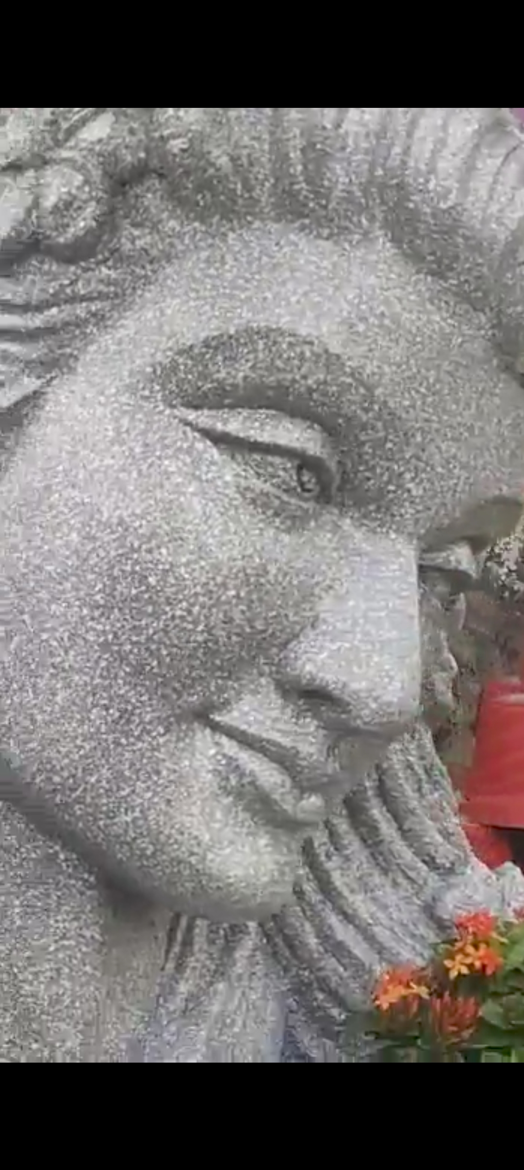 Garden ornaments,  sculptures,  fountains image