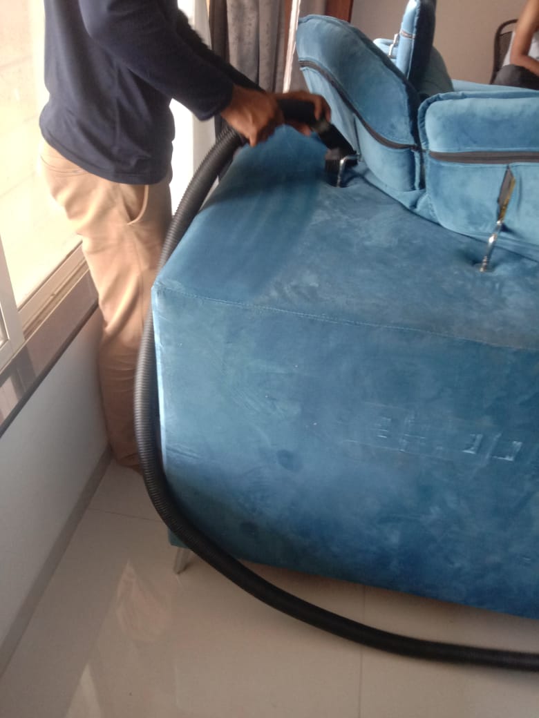 Sofa cleaning services image