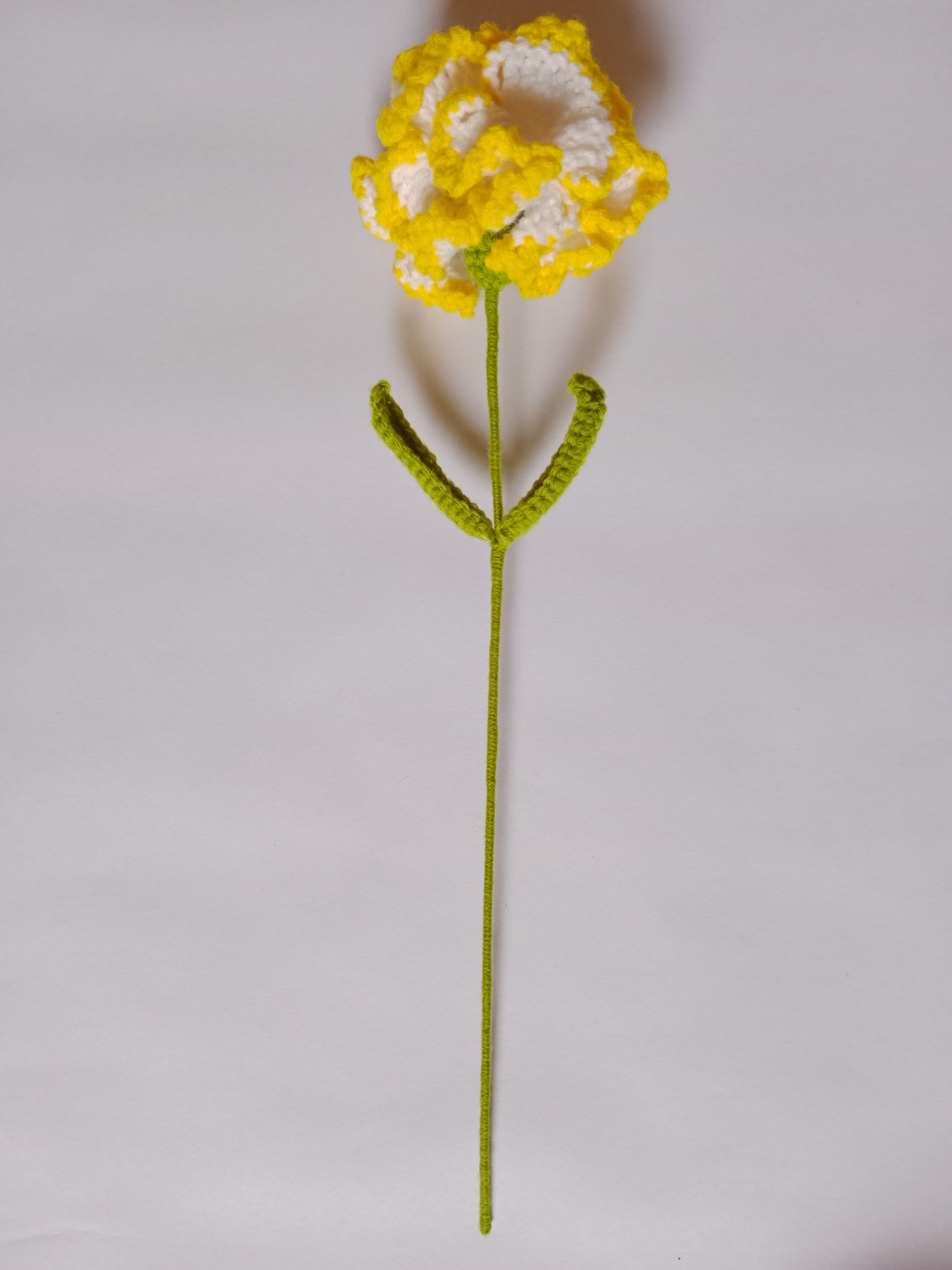 Crochet Woollen (Yellow/White) Carnation Flower image