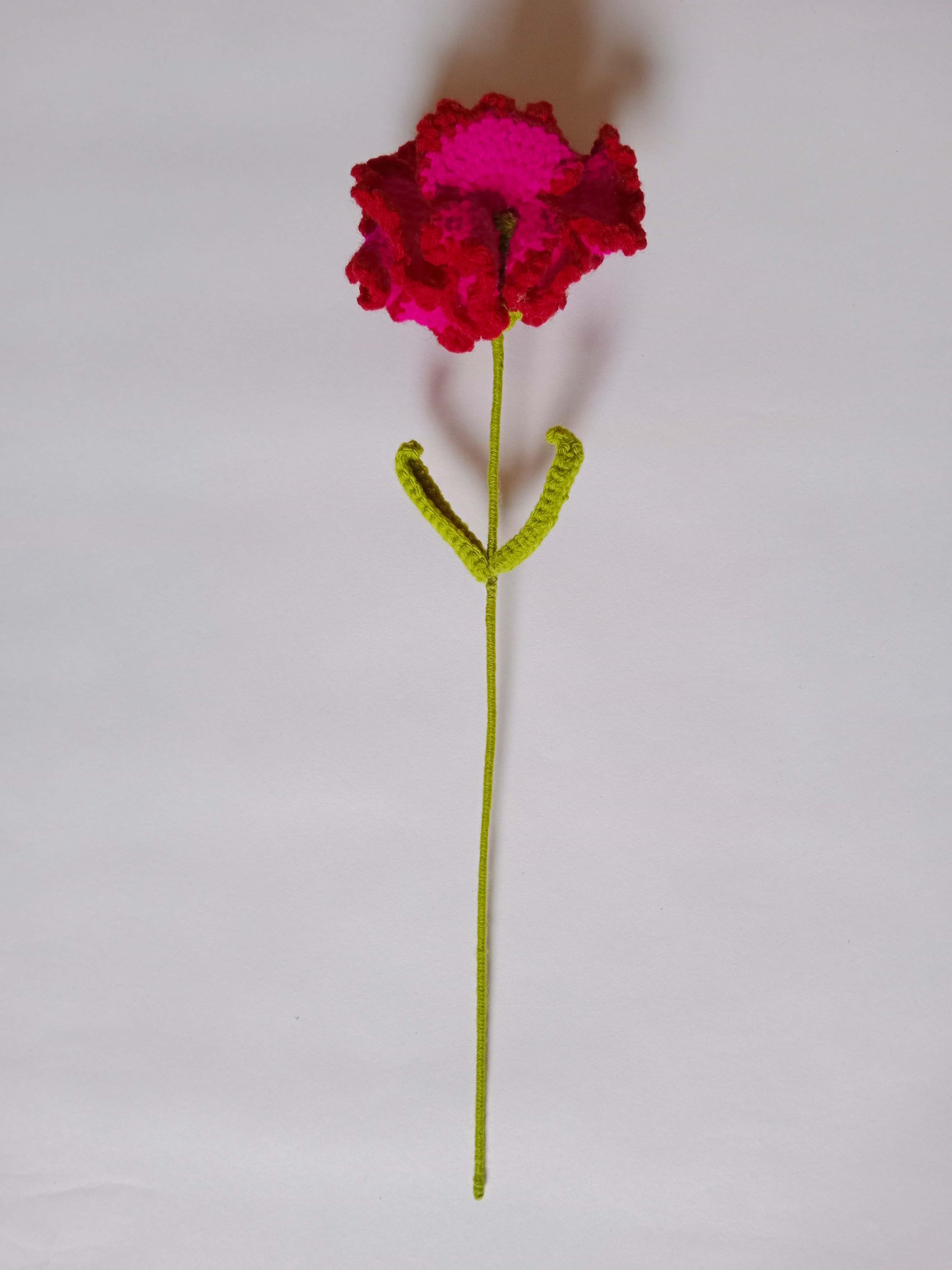 Crochet Woollen (Red/Bright Pink)Carnation Flower image