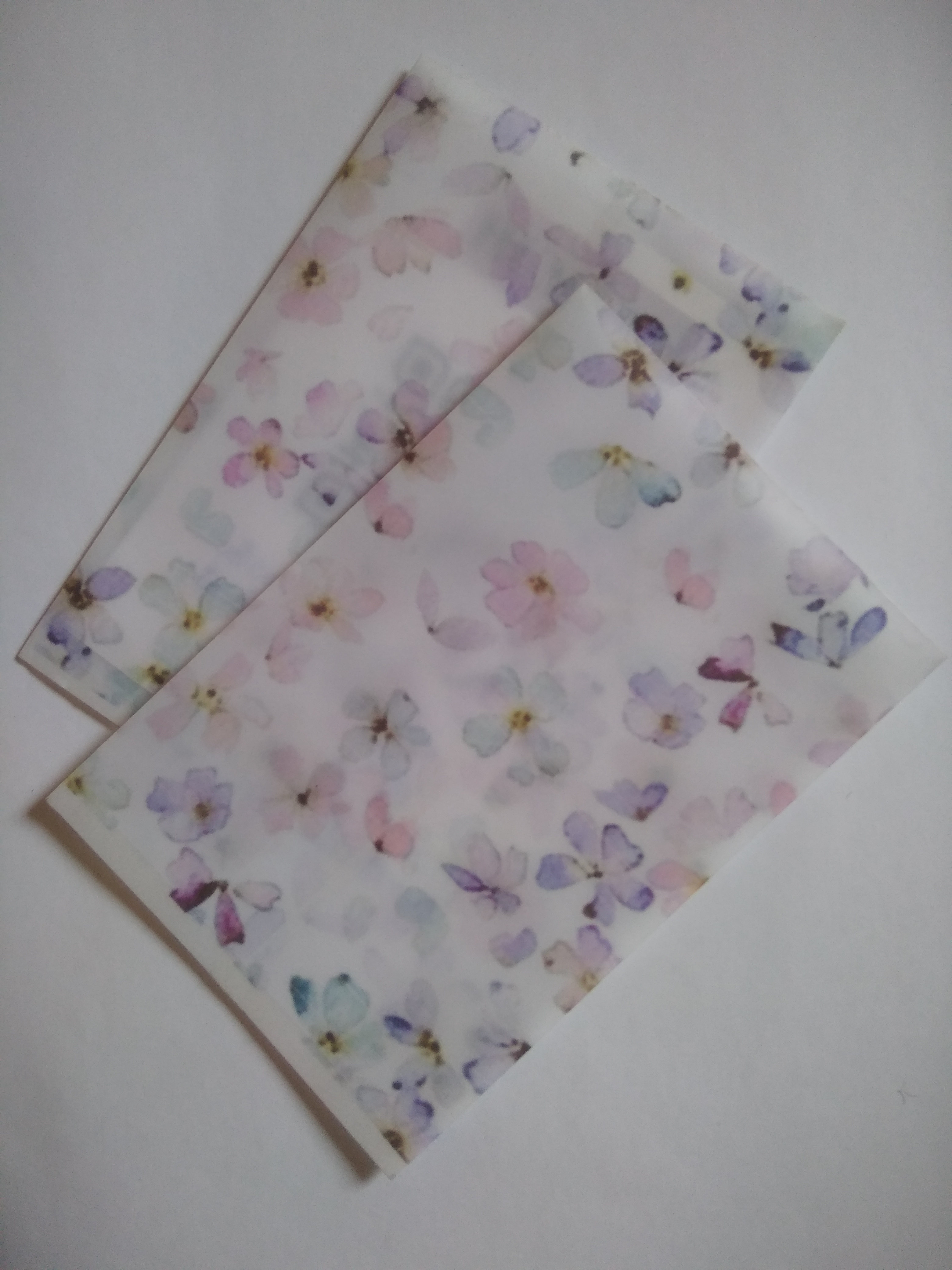 Digital Ditsy Printed Translucent Paper Pocket image