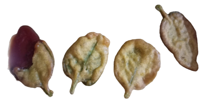 Pui Leaves Pakoda  image