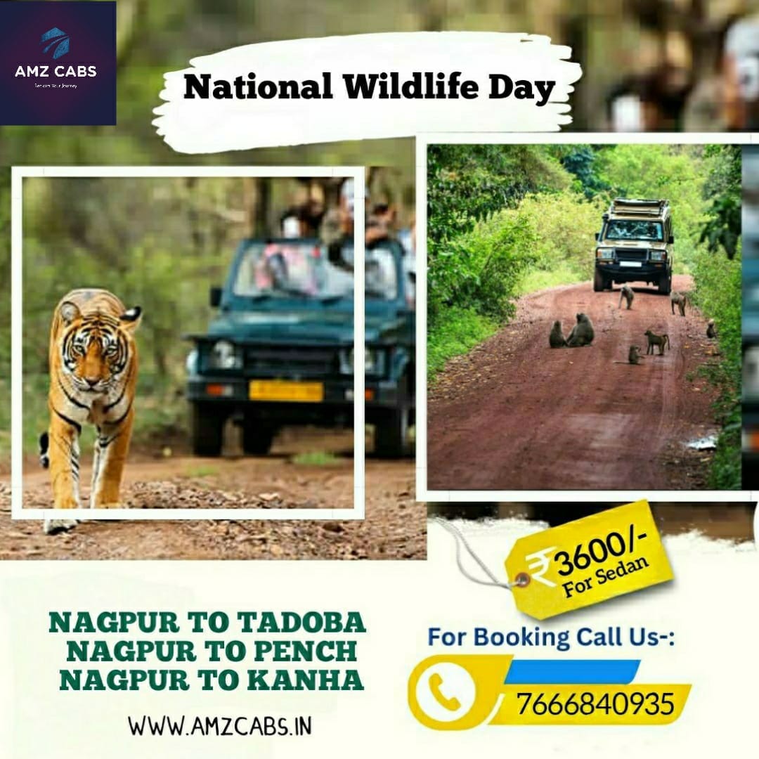 AMZ Cabs - Nagpur - Tadoba Pench Cab Service | Taxi Service in Nagpur image