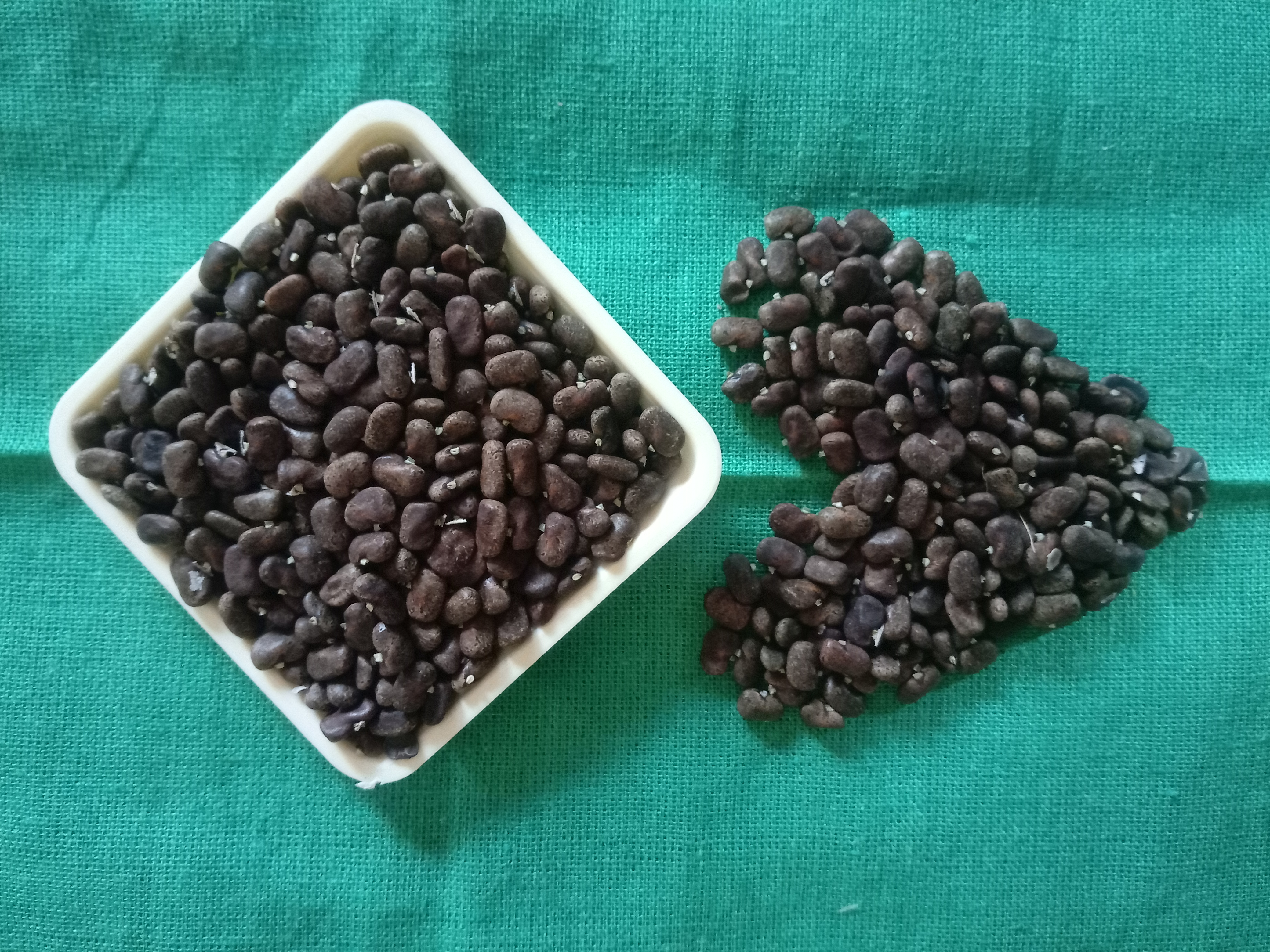 Aparajita Flower Seed (10 pcs) image