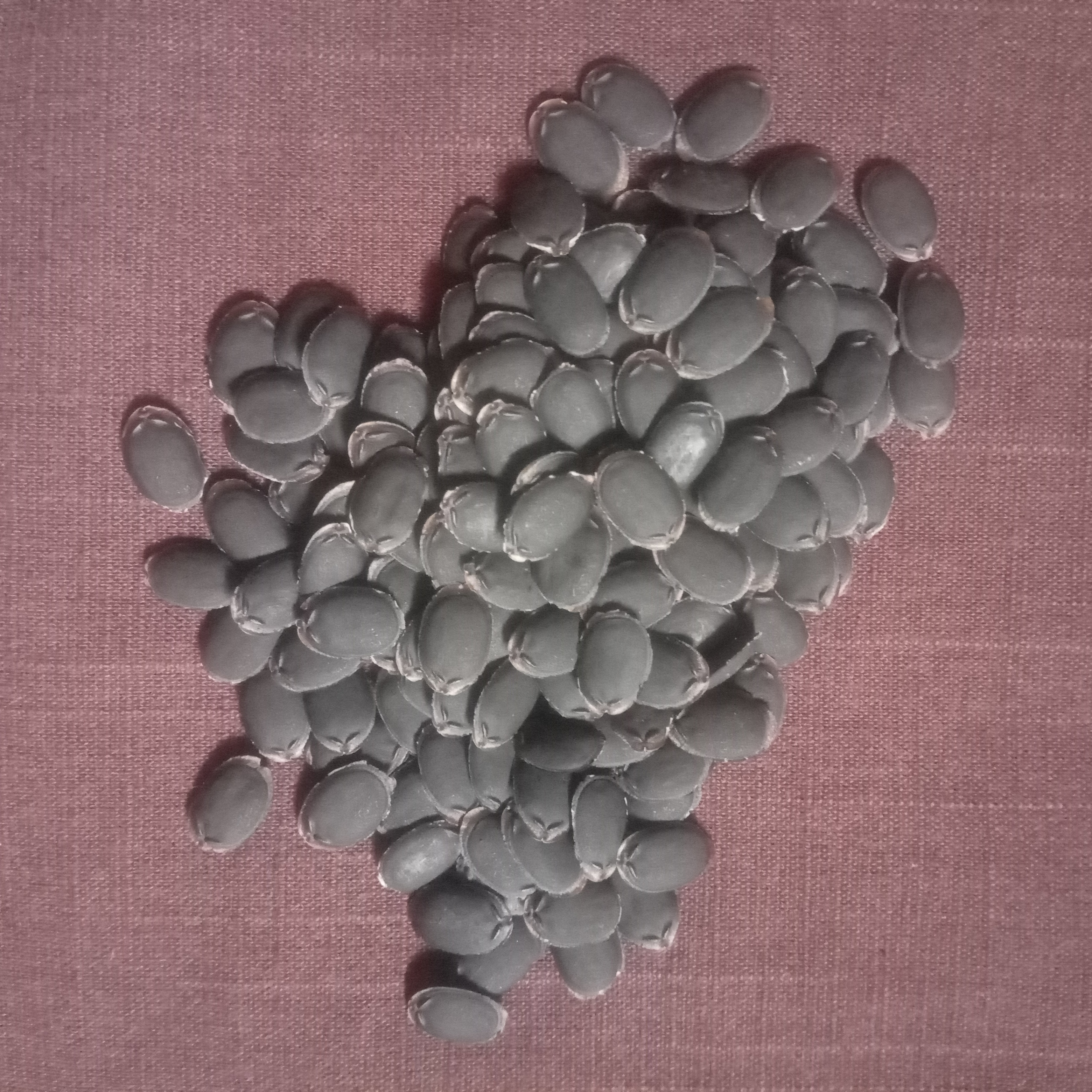 Loofa Seed (10 pc) image