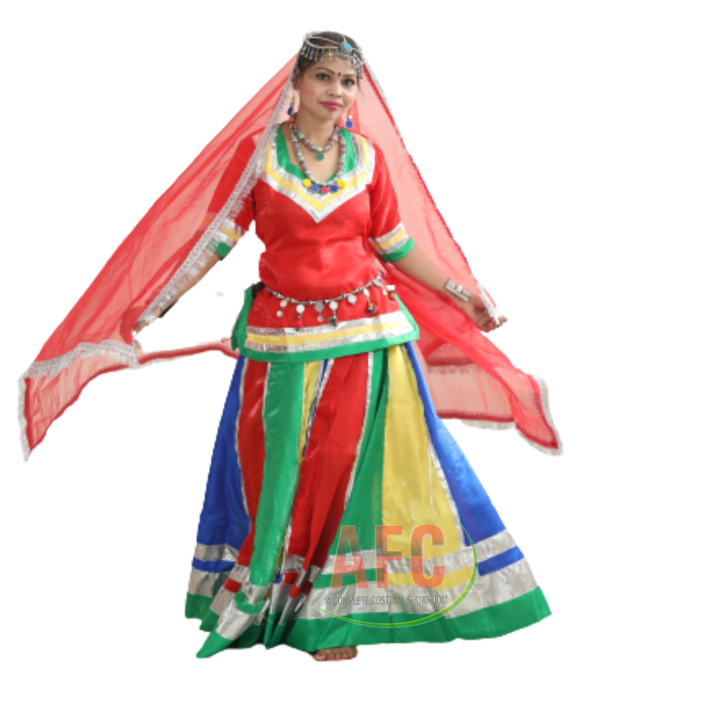 Rajasthani Lehnga Fancy Dress Costume image