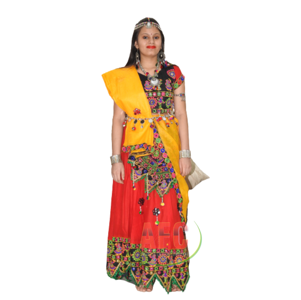 Rajasthani Lehnga Fancy Dress Costume image