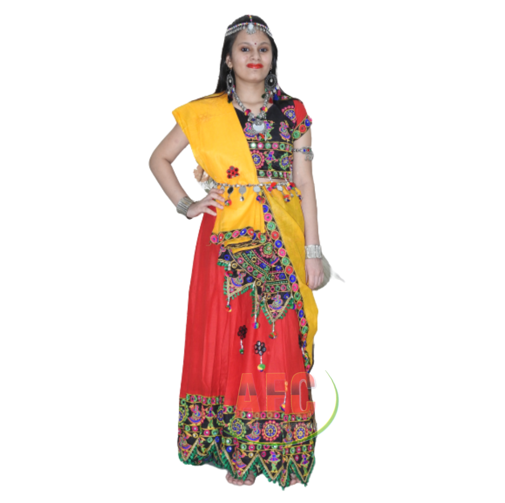 Rajasthani Lehnga Fancy Dress Costume image