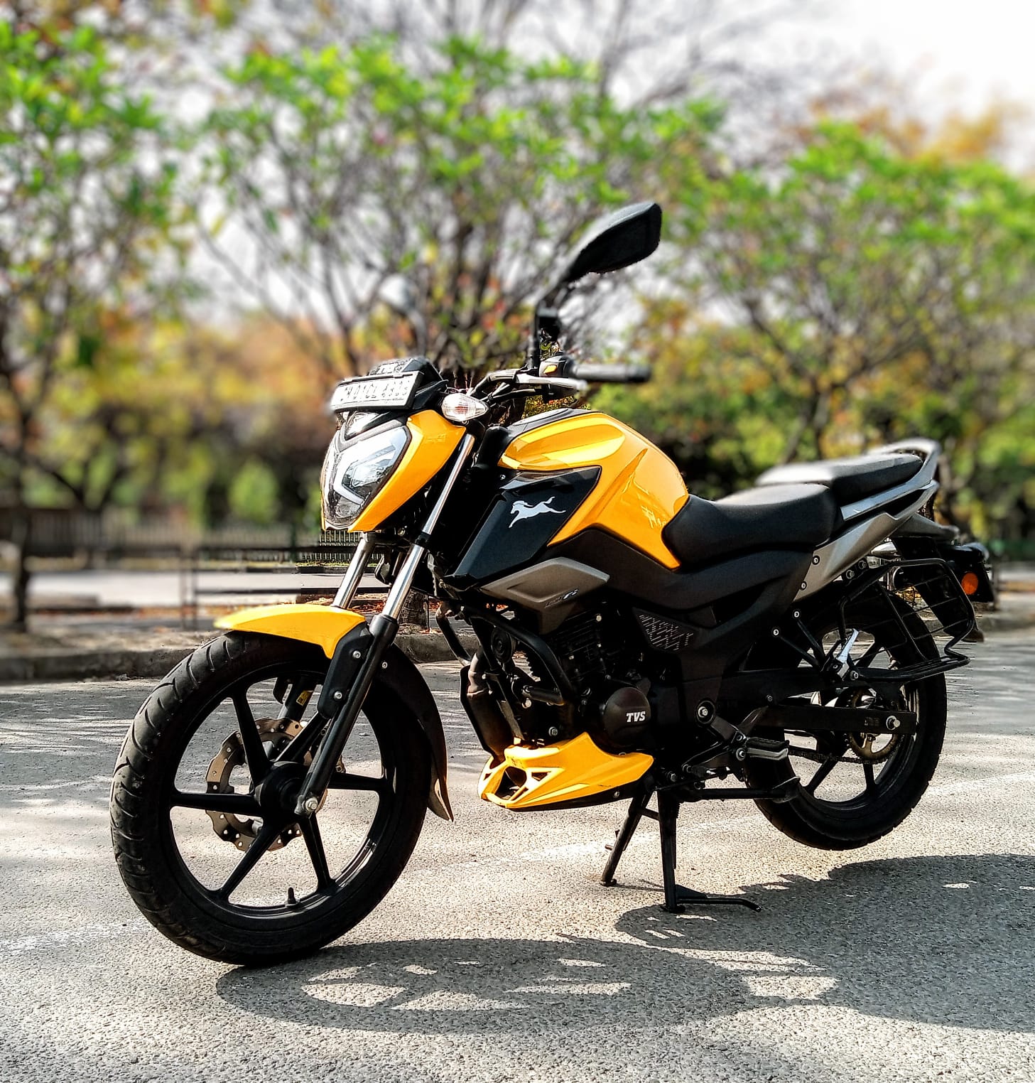 TVS Raider 125 image
