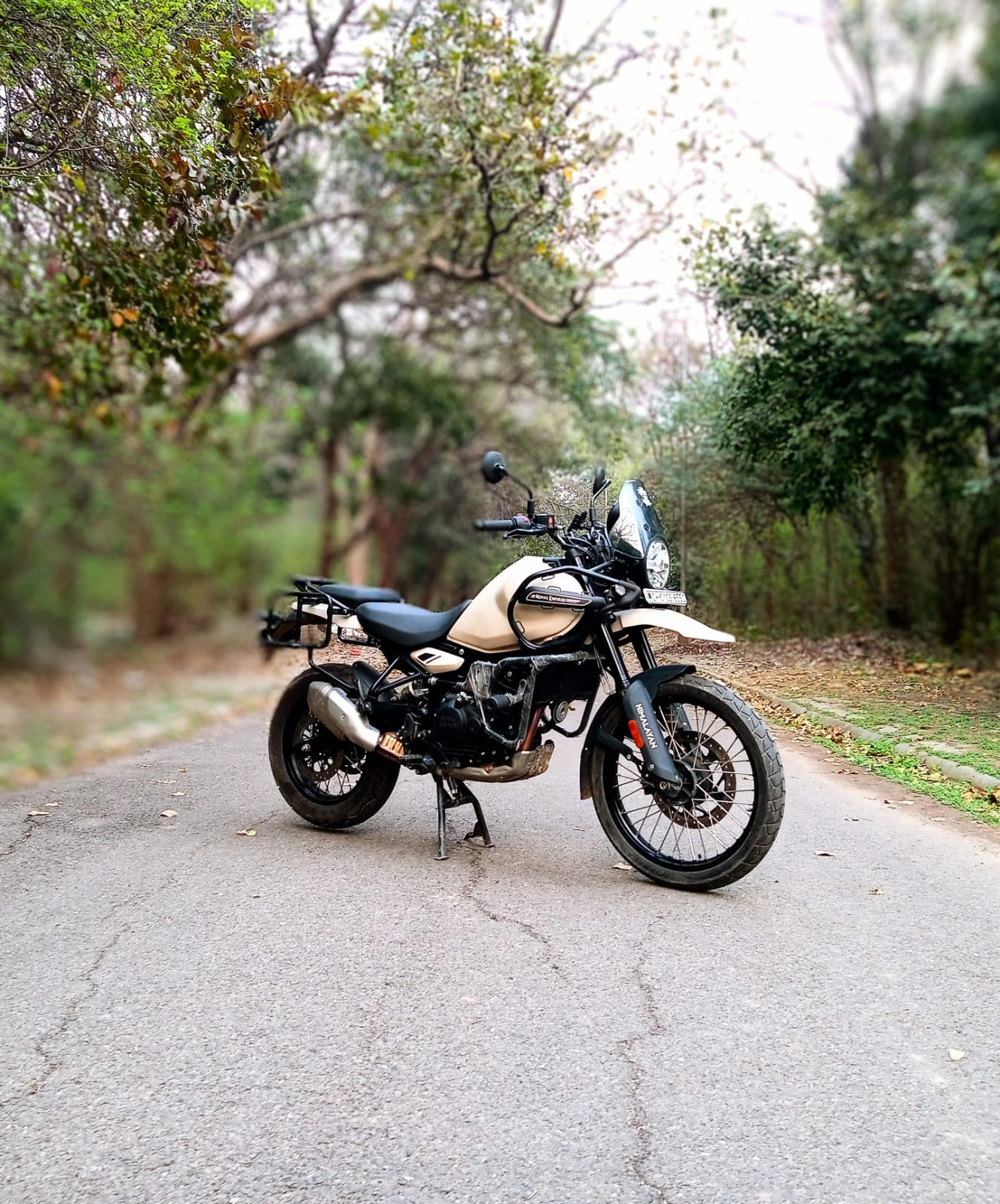 RE Himalayan 450 image