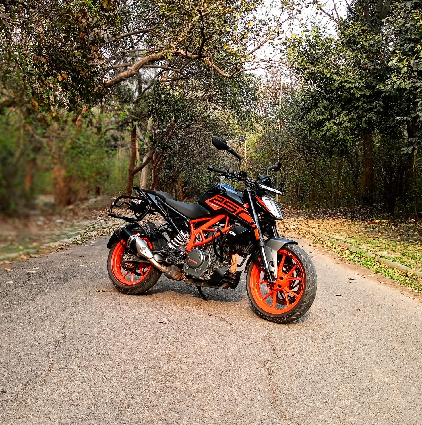 KTM Duke 250 image