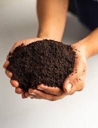 VERMICOMPOST image