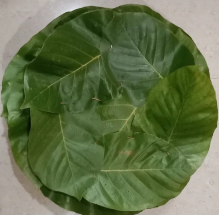 Handmade Sakhua Leaf Plate image