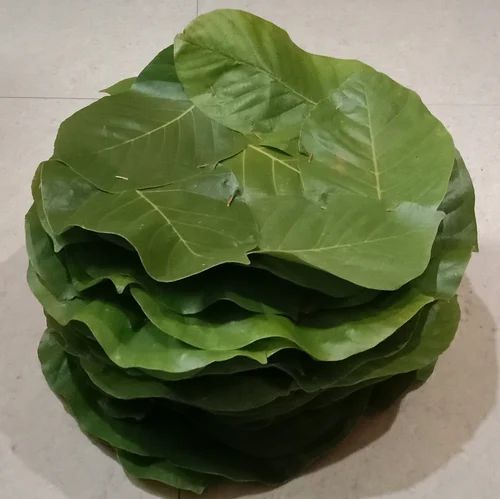 Handmade Sakhua Leaf Plate image