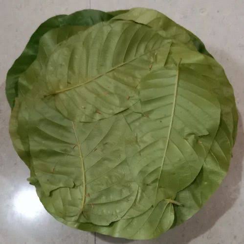 Handmade Sakhua Leaf Plate image