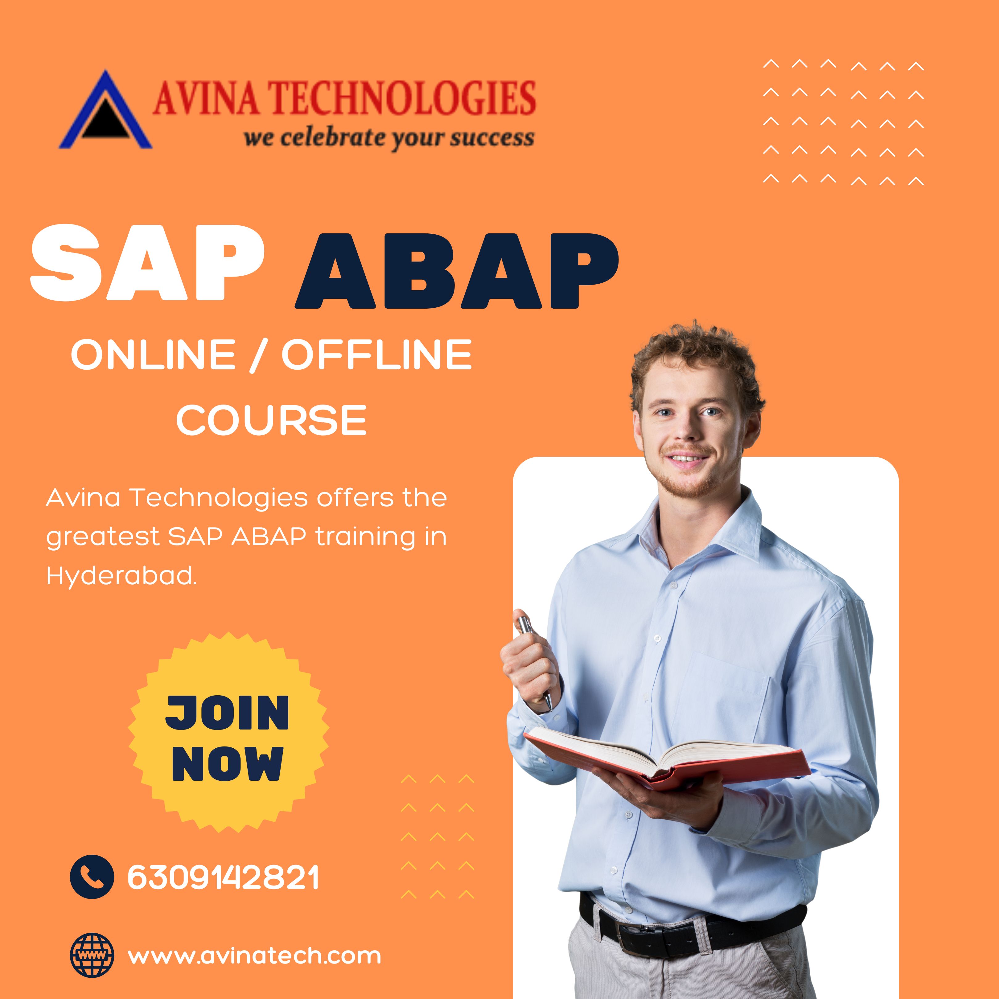 Sap ABAP Online Training in Hyderabad image