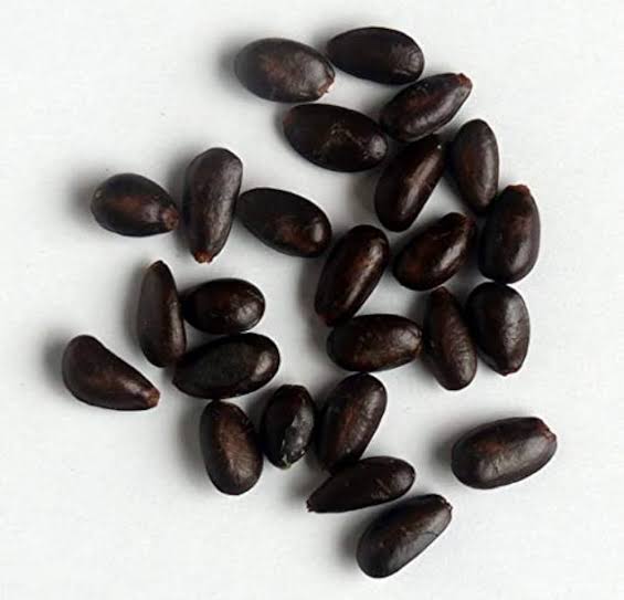 Custard Apple Seed (10 pcs) image