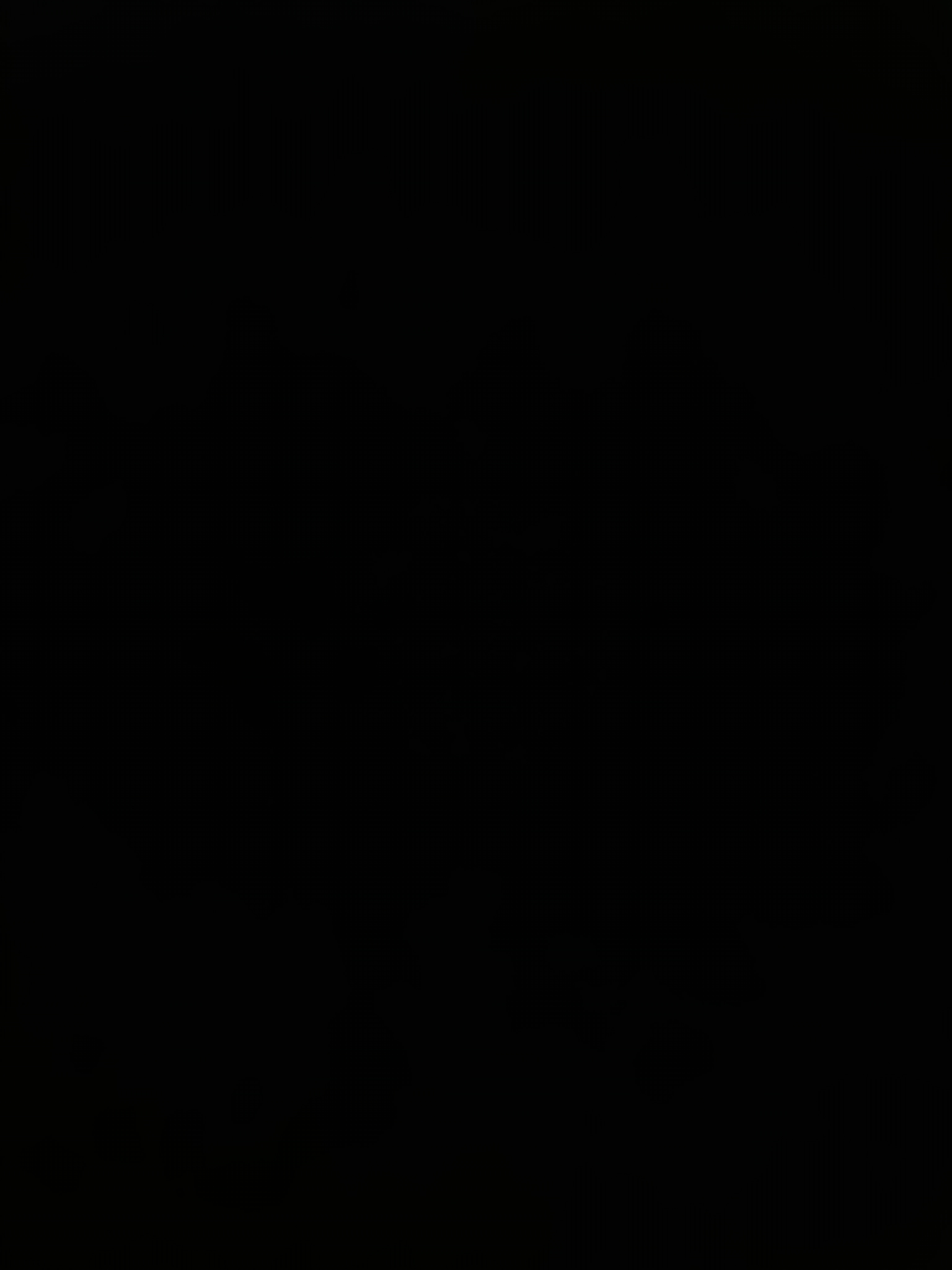 Ohu image