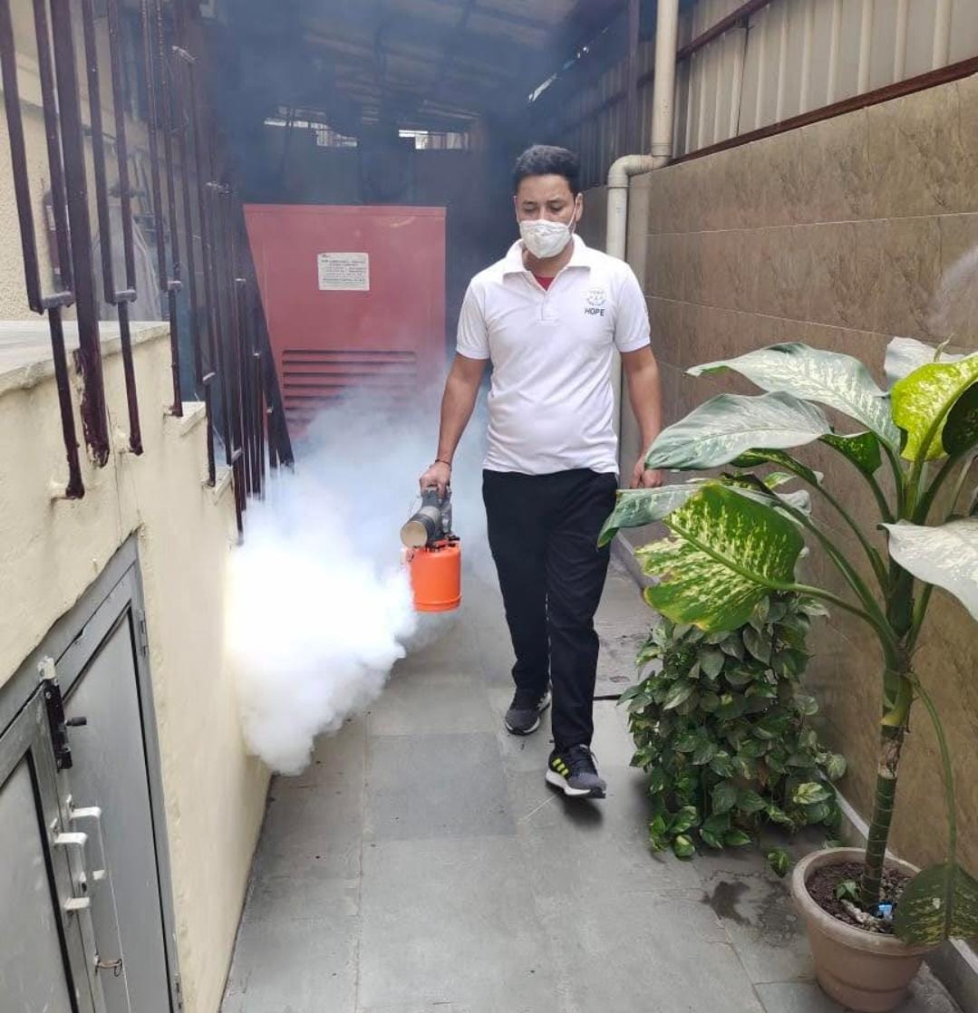 Termite Pest Control image