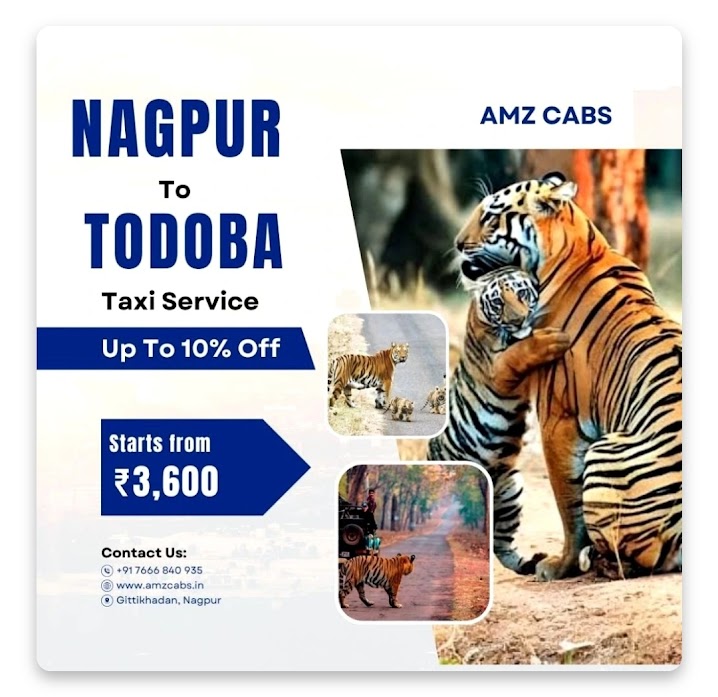 NAGPUR To TODOBA  Taxi Service image
