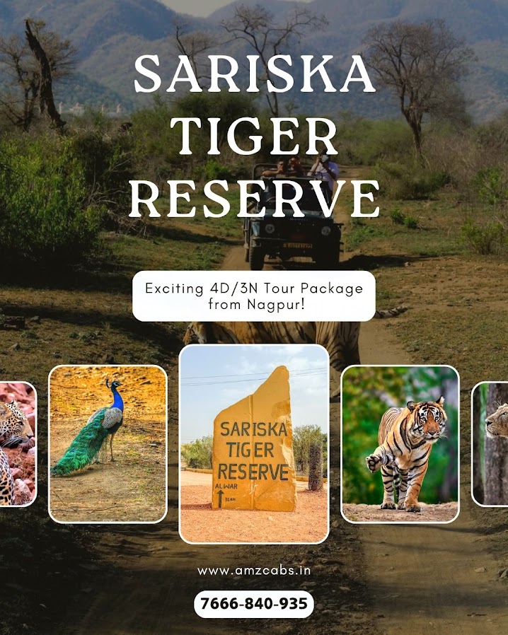 SARISKA TIGER RESERVE image