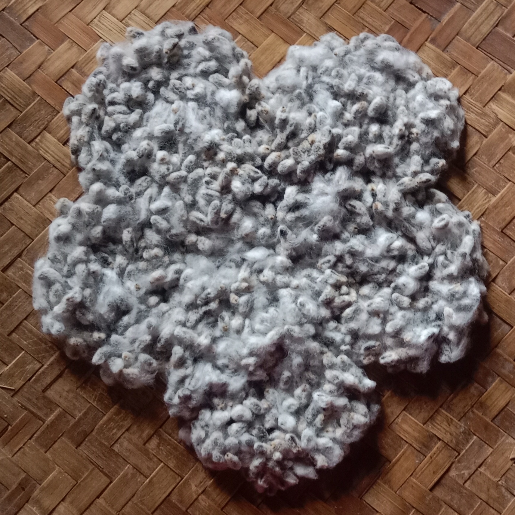 Cotton Seed (5 pcs) image