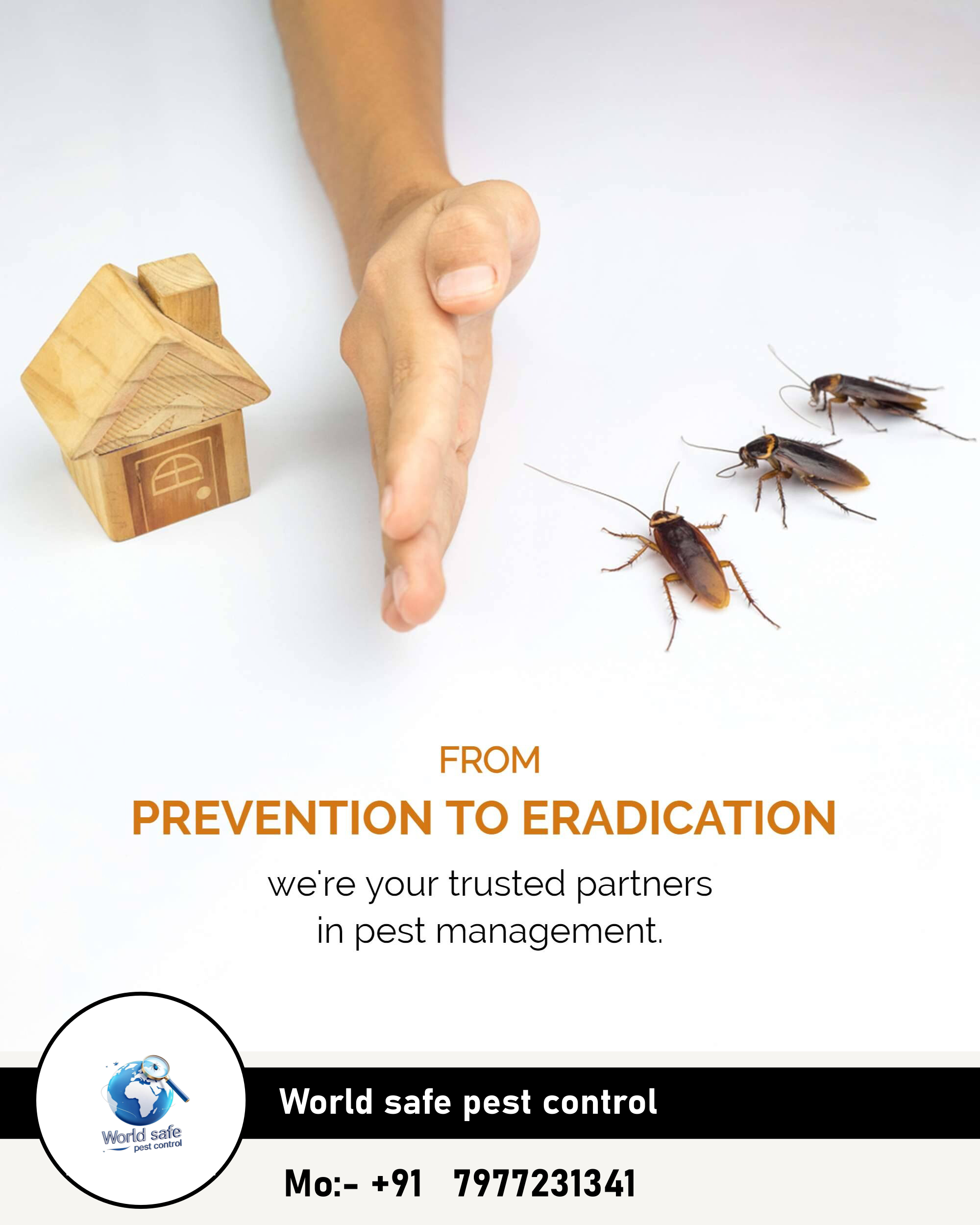 Cockroaches Pest Control image