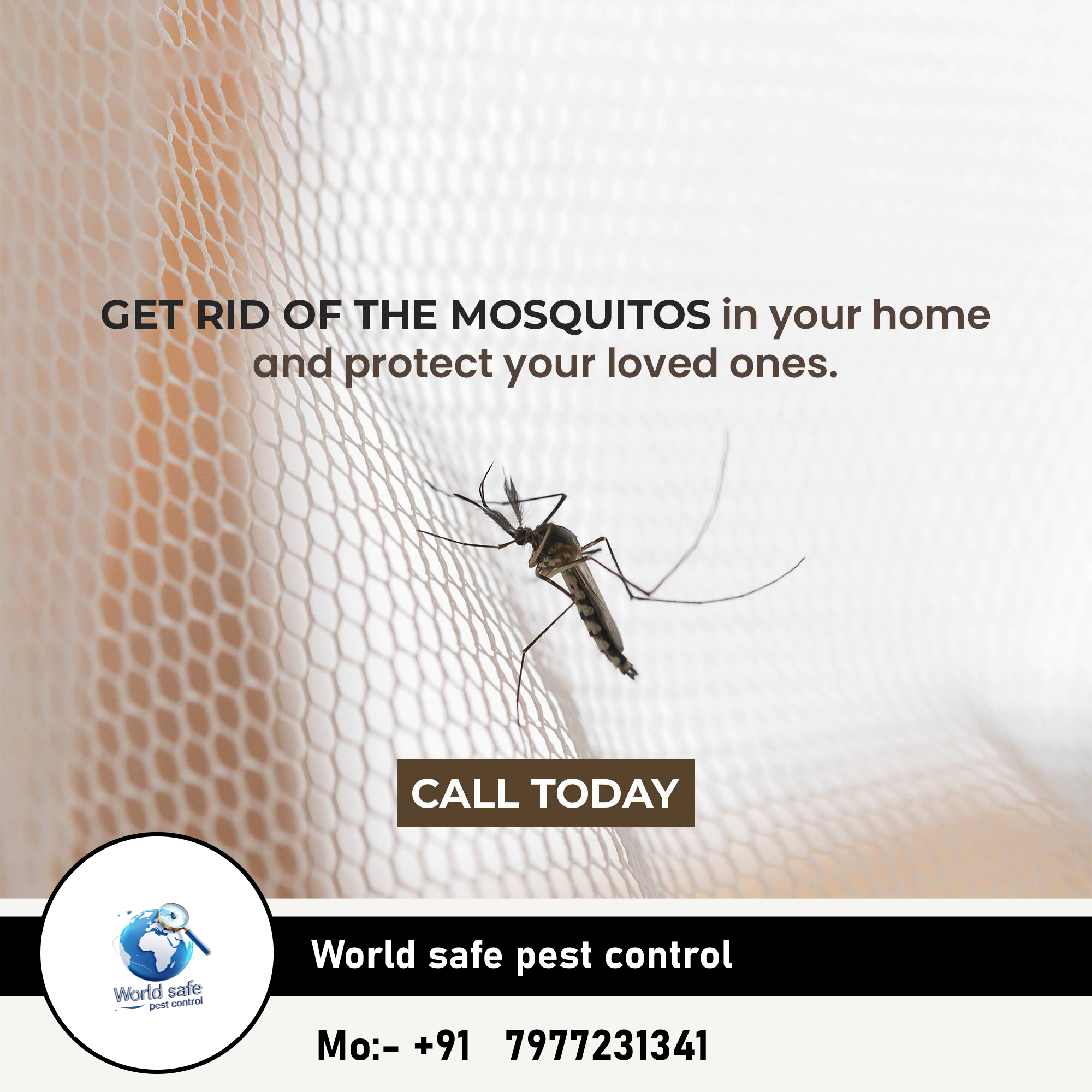 Cockroaches Pest Control image