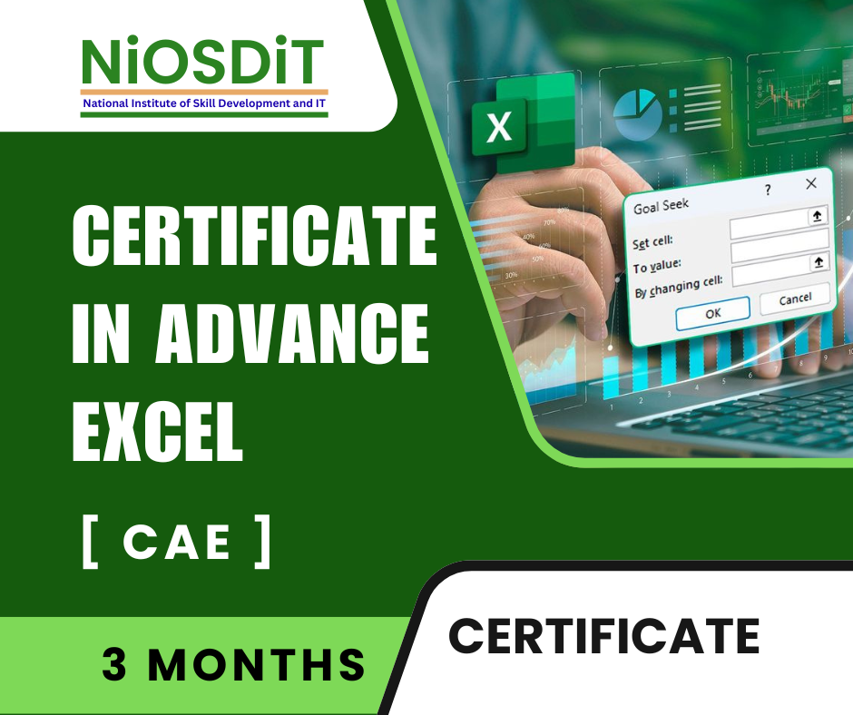 Certificate in Advance Excel [CAE] image