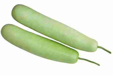kadu ( लौकी )  1kg image