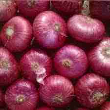 Onion (प्याज) 1KG image