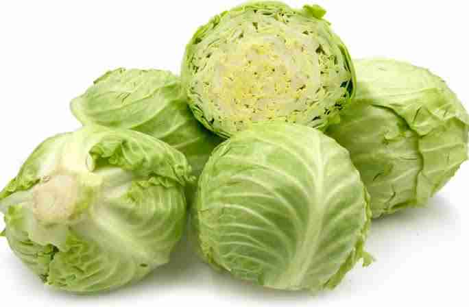 Cabbage (पता गोभी) 1KG