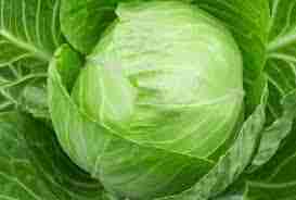 Cabbage (पता गोभी) 1KG image