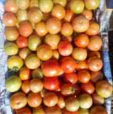Tomato ( टमाटर ) 1kg image