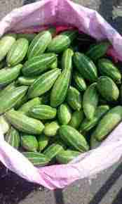 Parwal  1kg image