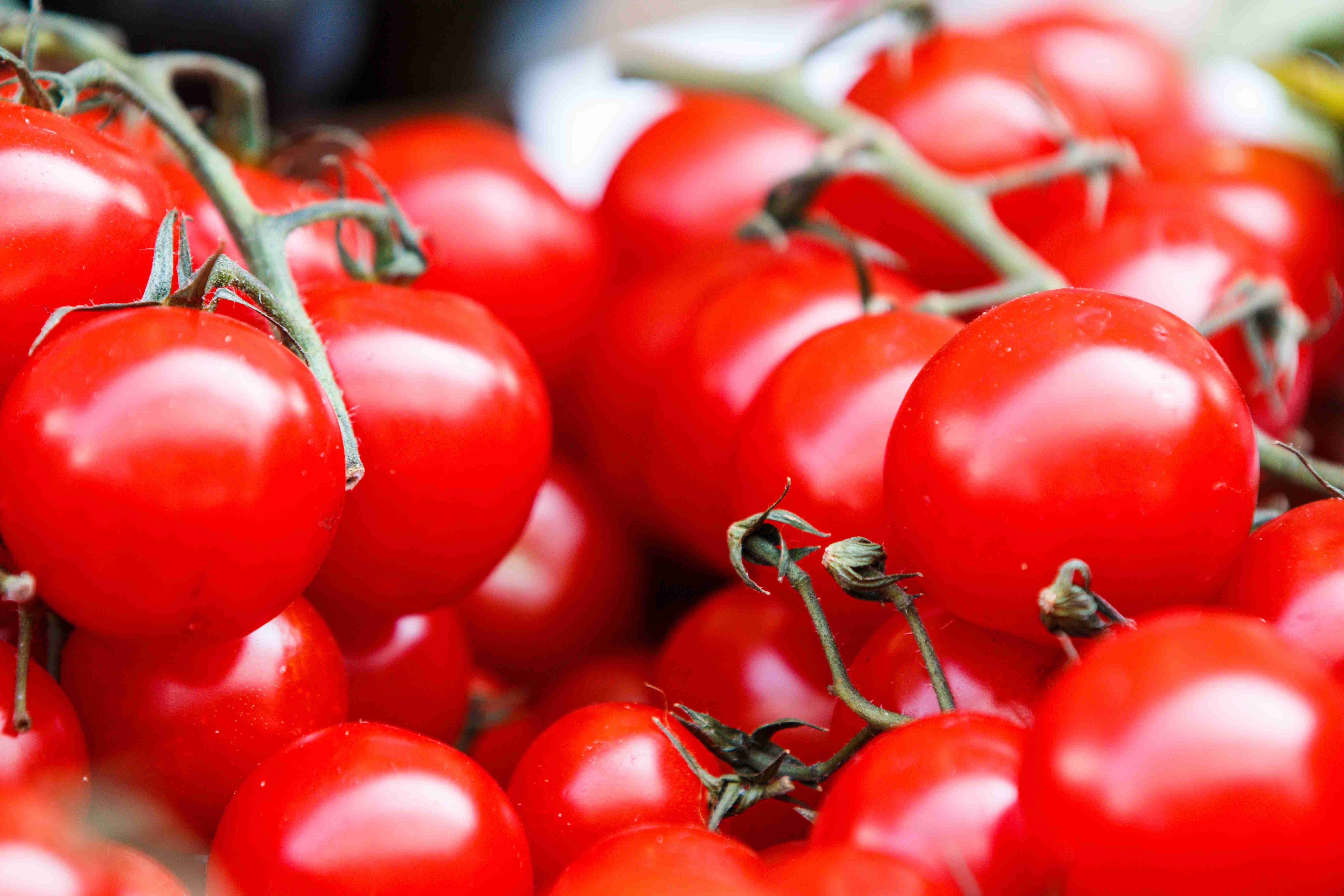 TOMATO ? image