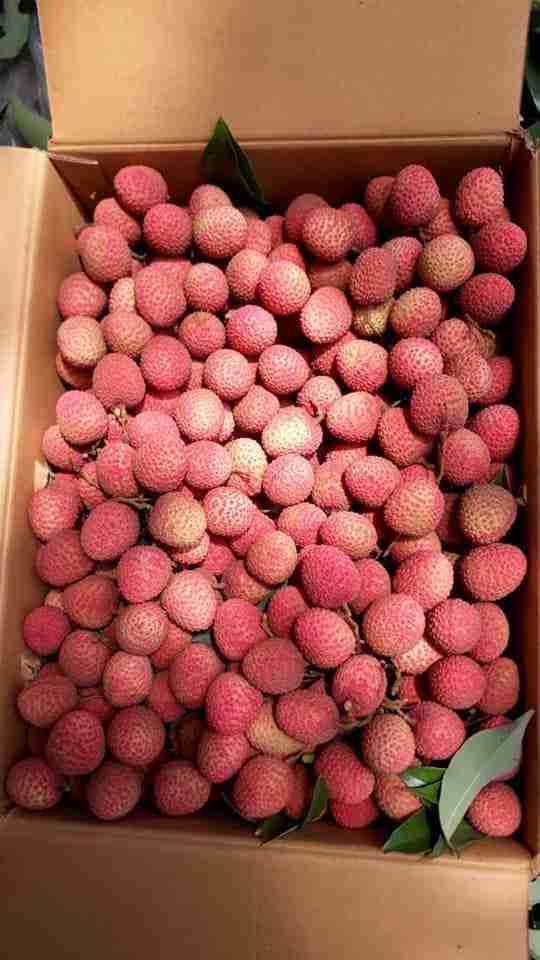 Lichi image