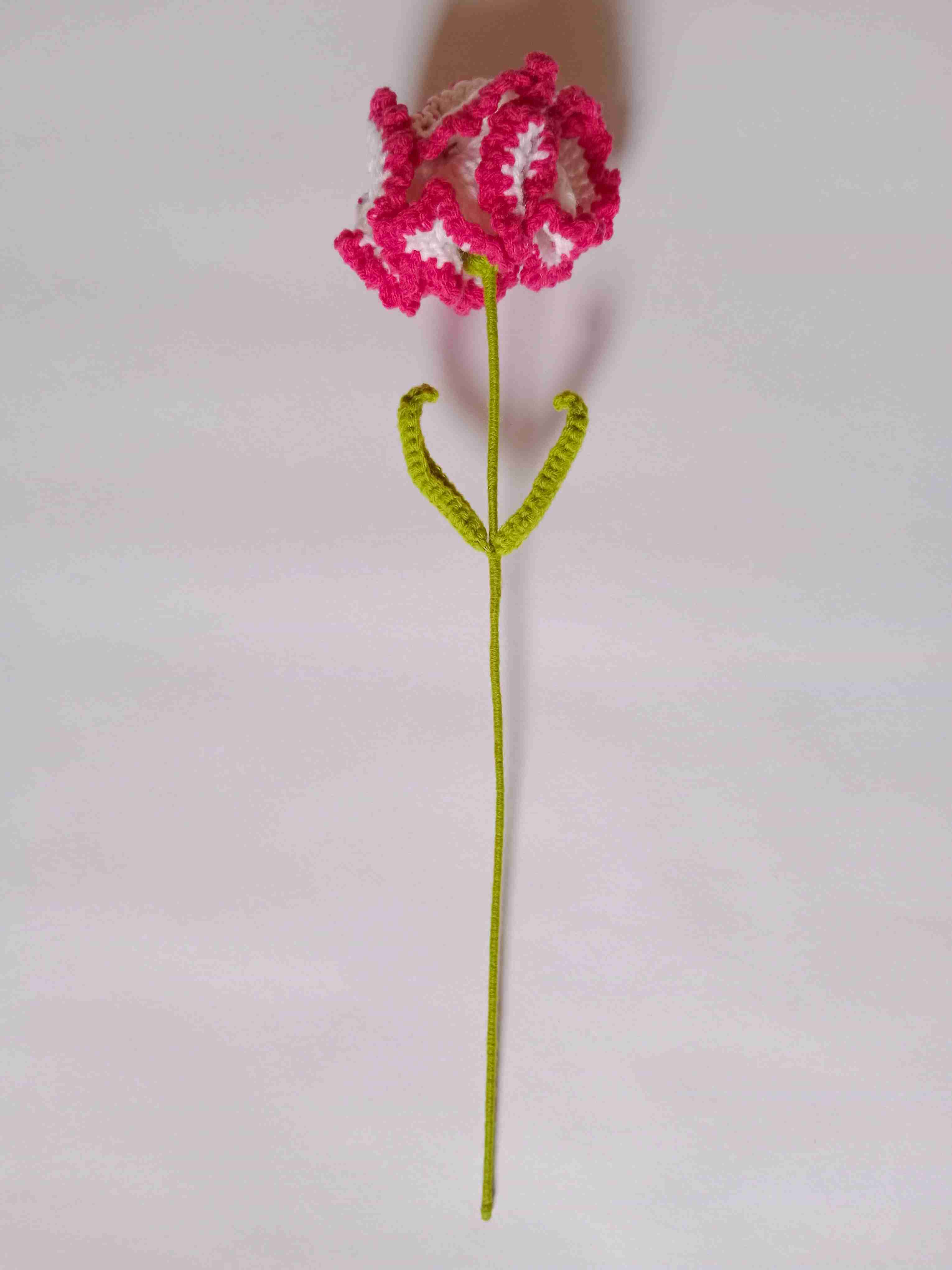 Crochet Woollen (Light Pale Pink/White) Carnation Flower