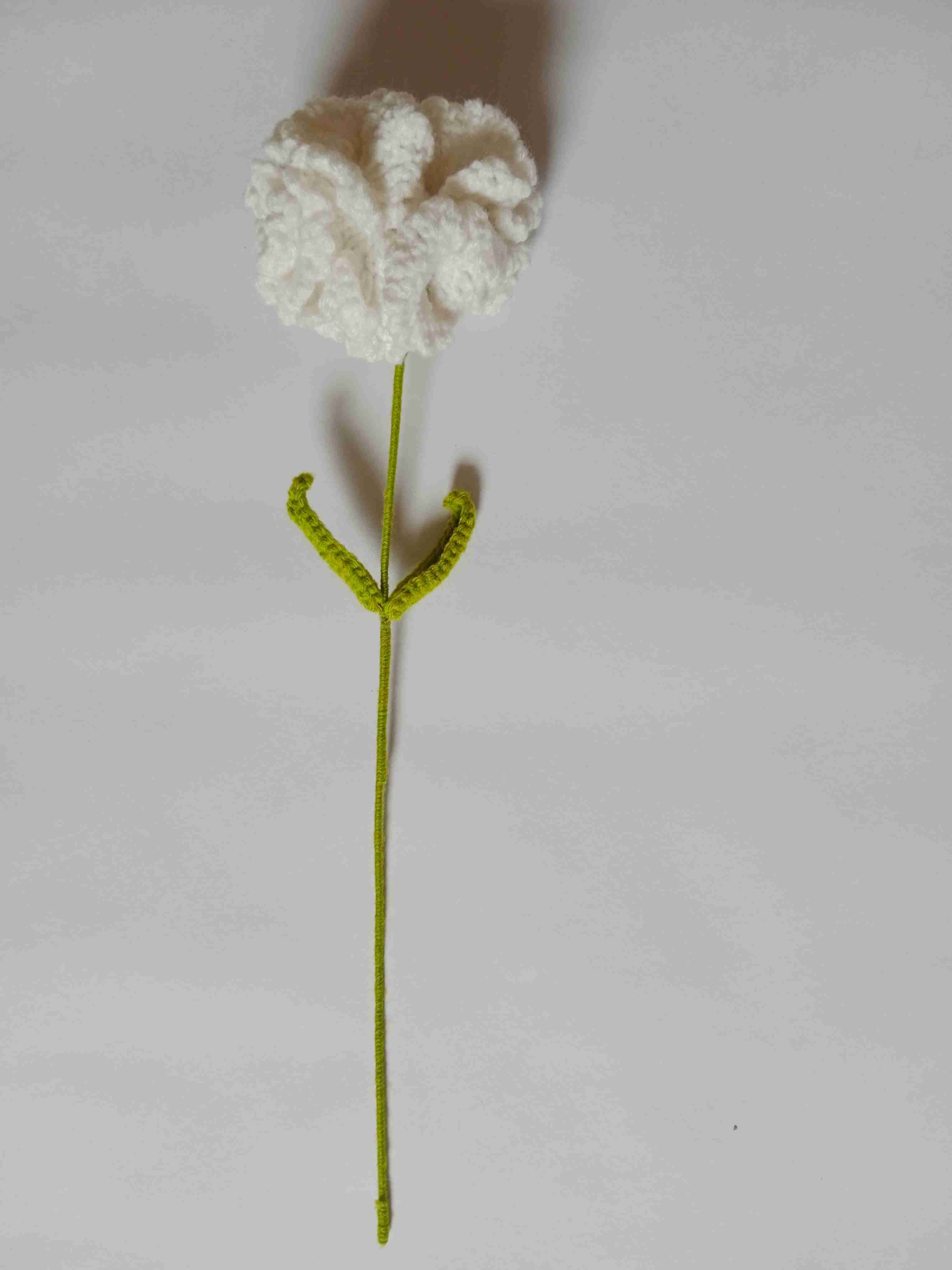 Crochet Woollen White Carnation Flower 