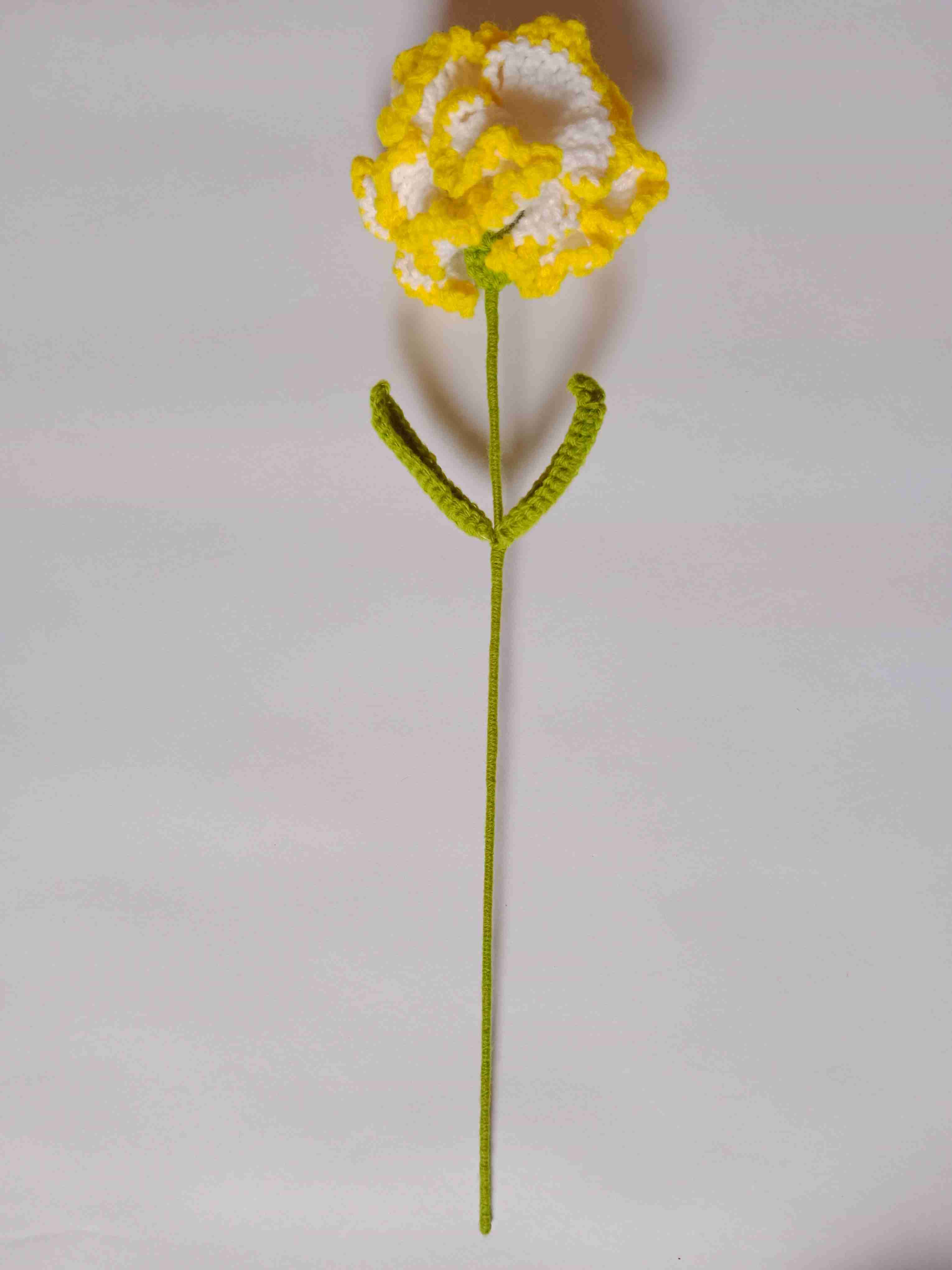 Crochet Woollen (Yellow/White) Carnation Flower