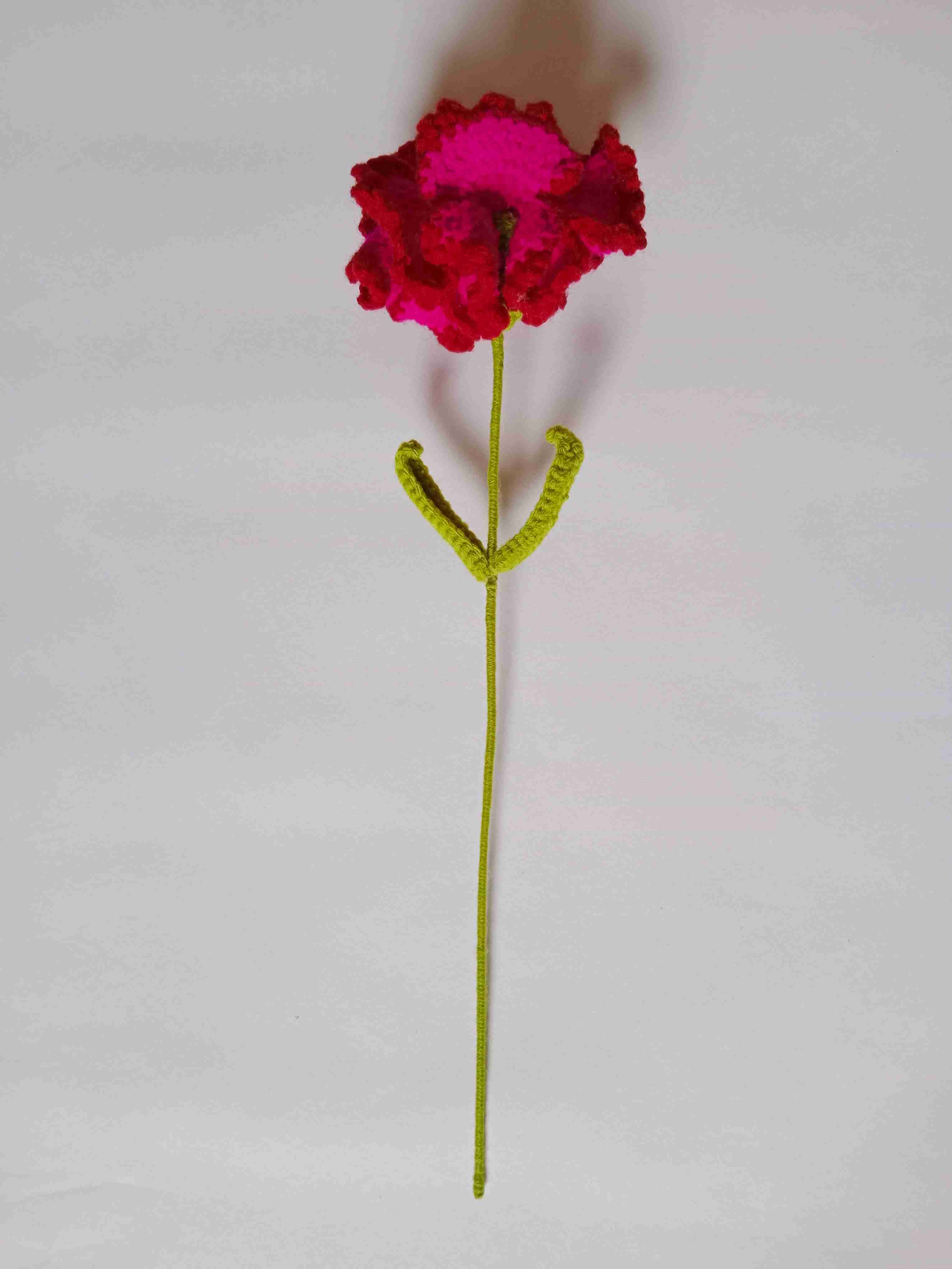 Crochet Woollen (Red/Bright Pink)Carnation Flower