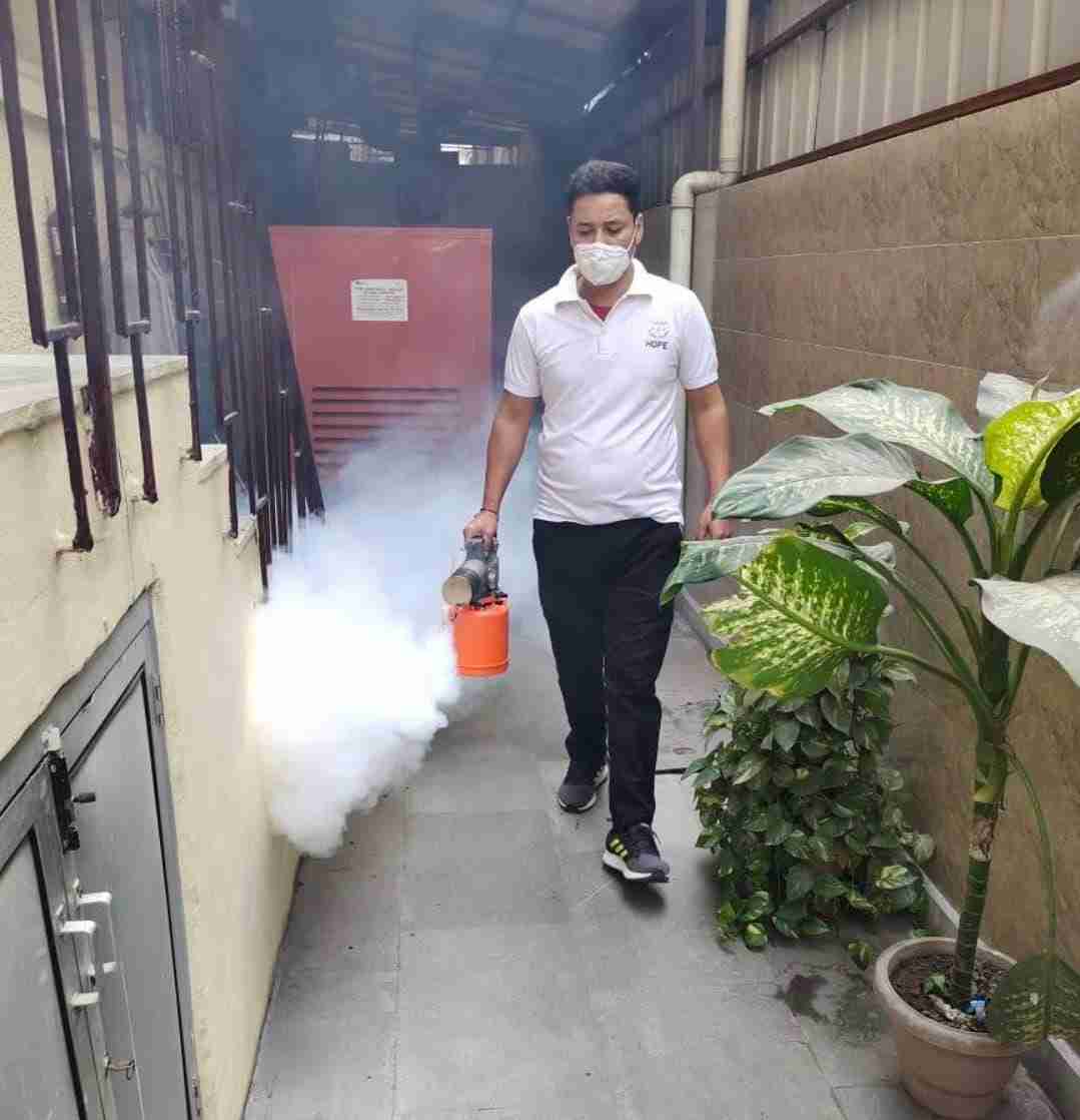 Termite Pest Control image
