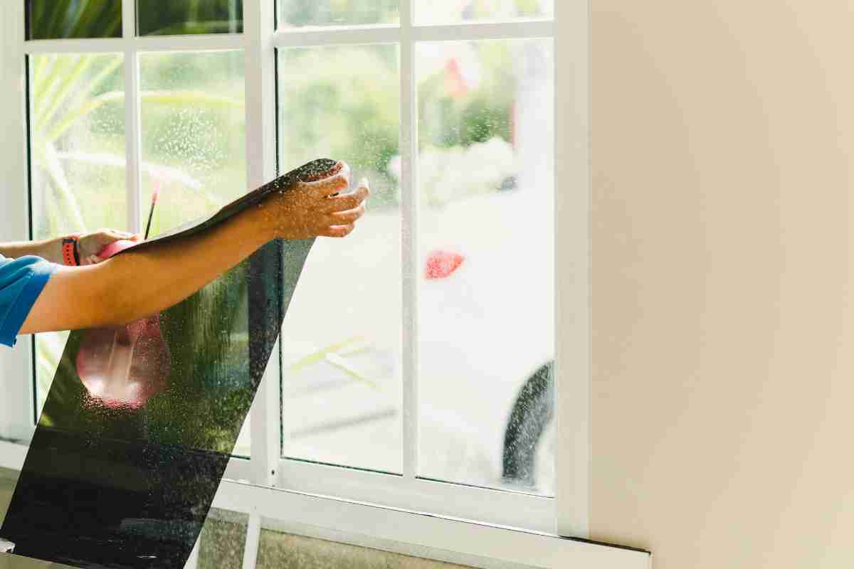 Window Film image